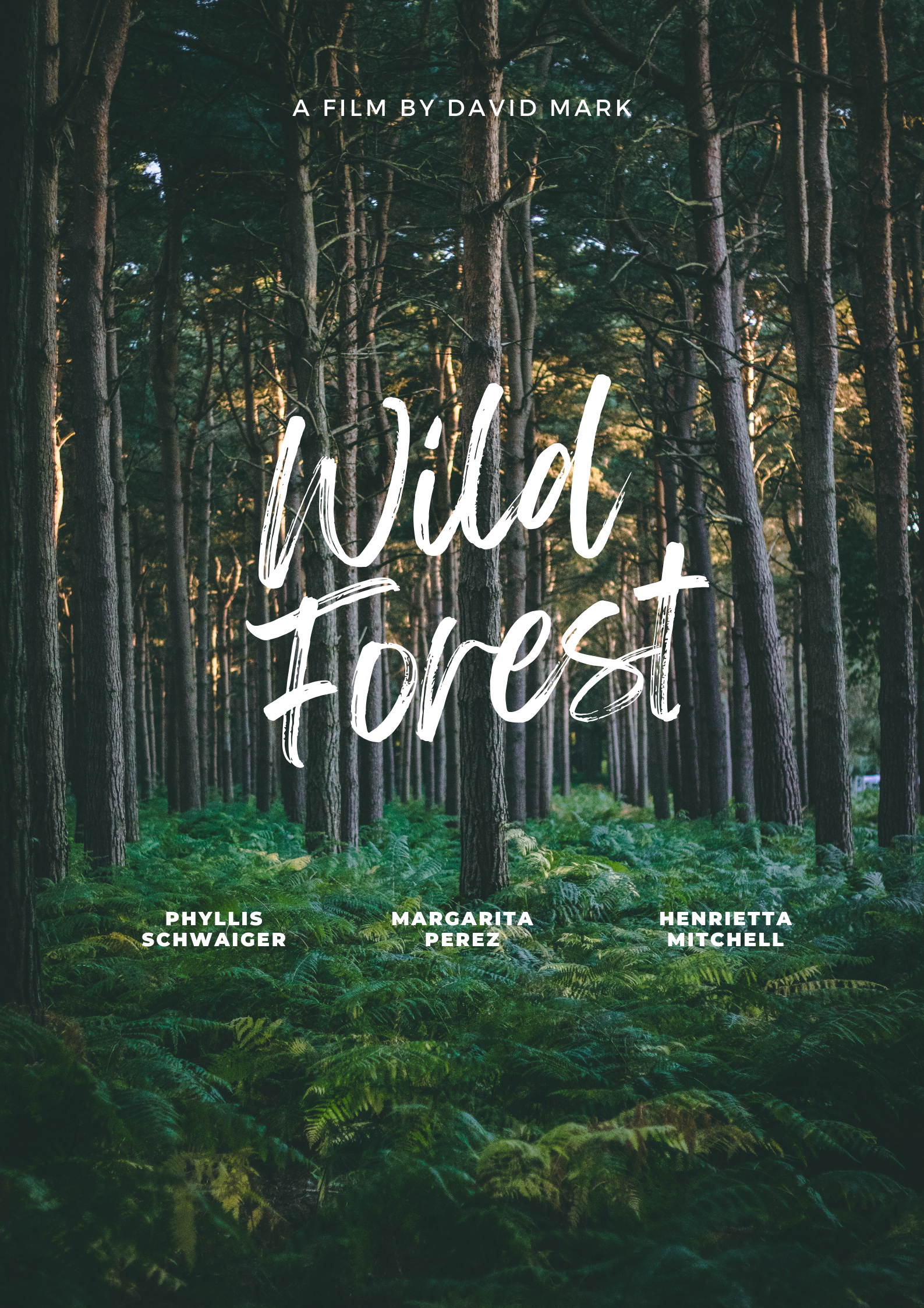 Salto iptv wild forest